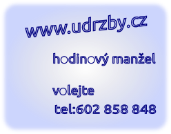 Hodinový manžel