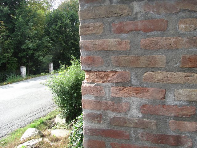 zdivo