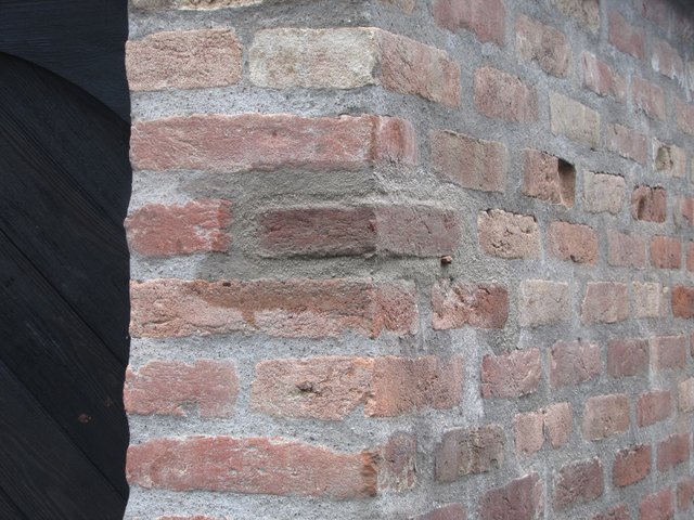 zdivo