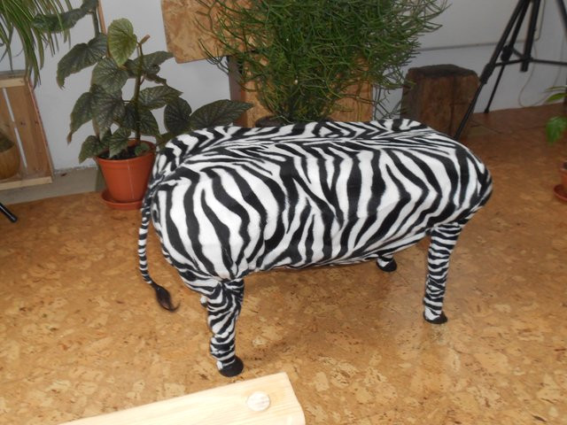 zebra
